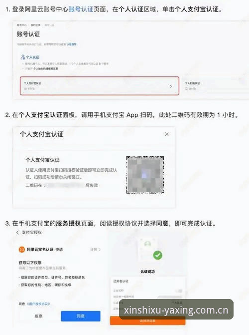 资深用户实测分享：定义中国新秩序CN登录入口使用技巧与核心经验